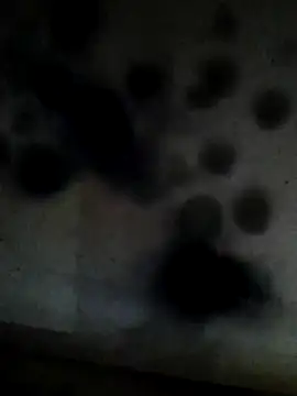 Leocesar37 online show from February 2026 06:01:02 AM