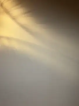 lola tentatiion online show from February 2026 09:01:01 PM