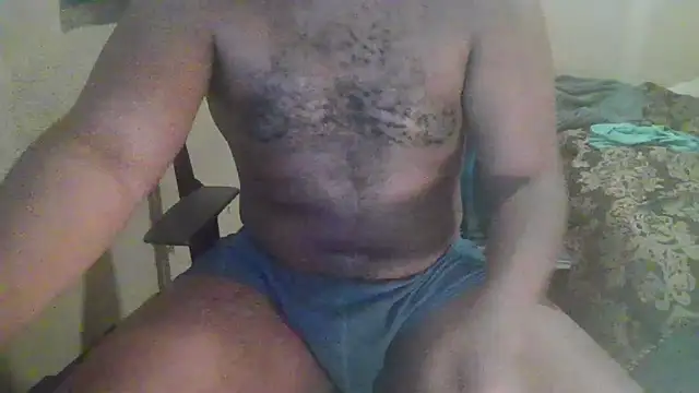 Vividerblock45 online show from November 2025 02:42:01 PM