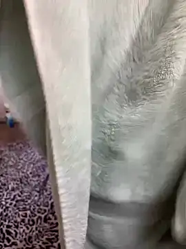 Snapshot of Mingtian4117 chatting on January 2026 01:48:01 PM Mingtian4117 online show from January 2026 01:48:01 PM