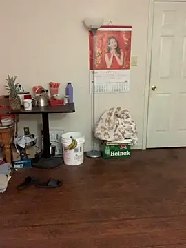 Mingtian4117 online show from November 2025 02:29:01 PM