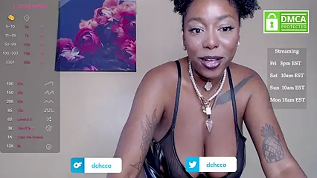 dchcco online show from November 2025 04:32:01 PM