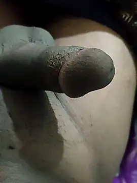 pusssyhub online show from December 2025 07:48:01 PM