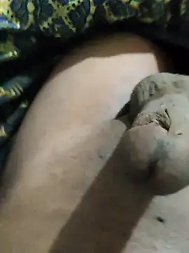 Snapshot of pusssyhub chatting on November 2025 12:00:01 AM pusssyhub online show from November 2025 12:00:01 AM