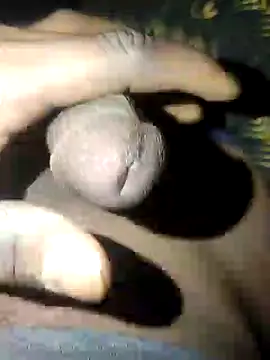 Snapshot of pusssyhub chatting on February 2025 12:20:02 AM pusssyhub online show from February 2025 12:20:02 AM