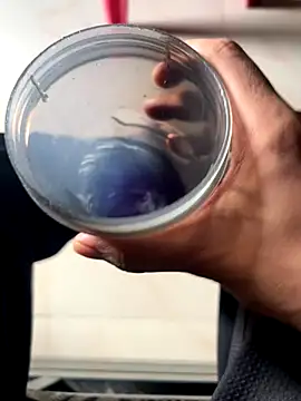 Privateseducer online show from September 2025 03:34:02 AM