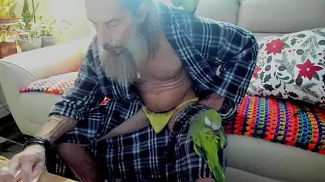 Snapshot of mindphu_k chatting on November 2025 08:20:01 PM mindphu k online show from November 2025 08:20:01 PM