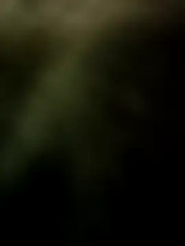 couple indian 123 online show from December 2025 01:58:02 PM