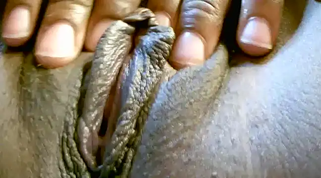 MTLD7 online show from December 2024 07:24:02 AM