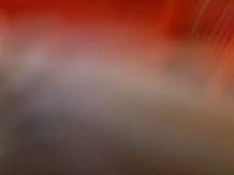 Snapshot of Lexxstacy chatting on July 2026 09:03:01 PM Lexxstacy online show from July 2026 09:03:01 PM
