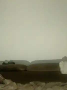 Freddyking146f online show from February 2026 03:49:01 AM