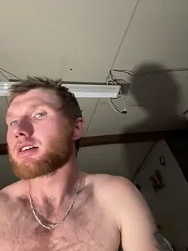 Snapshot of dcockell chatting on December 2025 12:48:01 AM dcockell online show from December 2025 12:48:01 AM