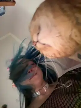 Snapshot of MaddisonHaas chatting on October 2025 12:44:02 AM MaddisonHaas online show from October 2025 12:44:02 AM