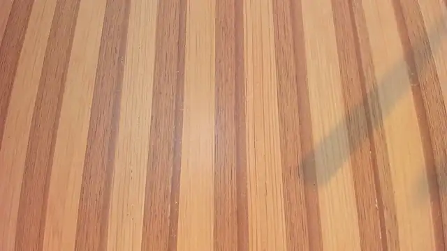 Taylor  cooper online show from February 2026 06:28:01 PM