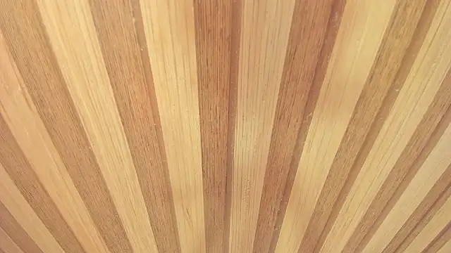 Taylor  cooper online show from March 2026 06:42:02 PM