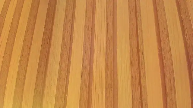 Taylor  cooper online show from February 2026 06:29:01 PM