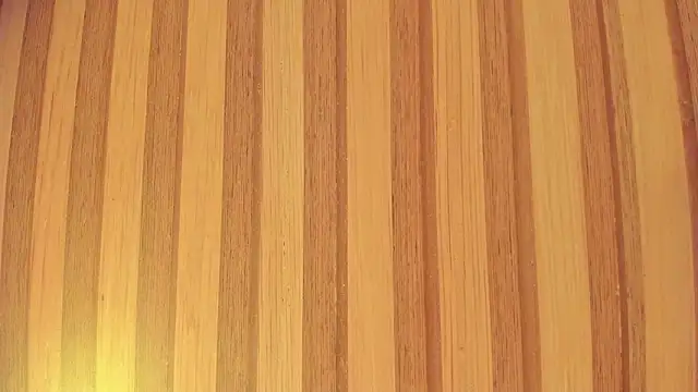 Taylor  cooper online show from March 2026 06:36:01 PM