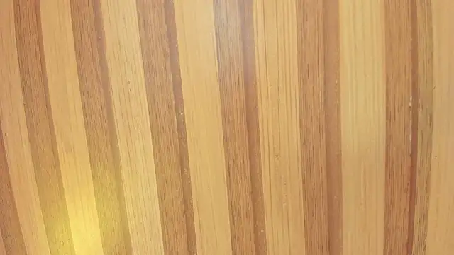 Taylor  cooper online show from February 2026 06:38:02 PM