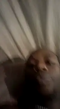 redishxxx online show from December 2024 04:37:01 AM