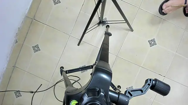 playsgirlhot online show from November 2025 11:38:01 PM