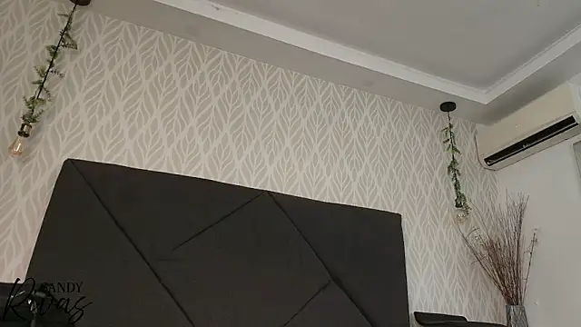 Snapshot of sandy_rivas chatting on March 2026 11:55:01 AM sandy rivas online show from March 2026 11:55:01 AM