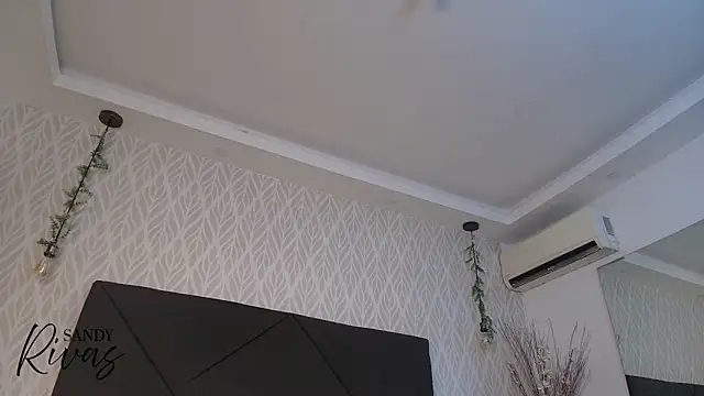 Snapshot of sandy_rivas chatting on January 2026 11:49:01 AM sandy rivas online show from January 2026 11:49:01 AM