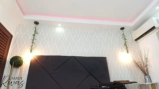 Snapshot of sandy_rivas chatting on March 2026 11:56:02 AM sandy rivas online show from March 2026 11:56:02 AM