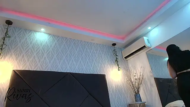 Snapshot of sandy_rivas chatting on January 2026 12:09:01 PM sandy rivas online show from January 2026 12:09:01 PM