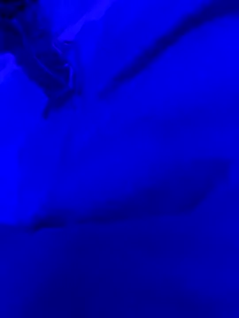 Snapshot of Hugo76578 chatting on October 2025 11:33:01 AM Hugo76578 online show from October 2025 11:33:01 AM