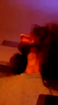 Maharajata1234 online show from December 2024 10:02:02 PM