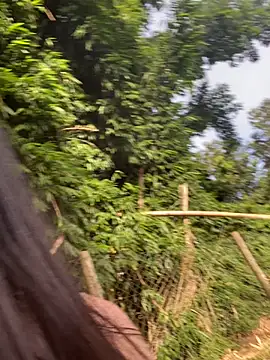 Morguissz online show from February 2025 11:12:02 AM