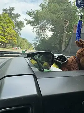 KBD85 online show from September 2025 07:46:02 PM