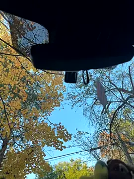 KBD85 online show from November 2025 08:58:01 PM