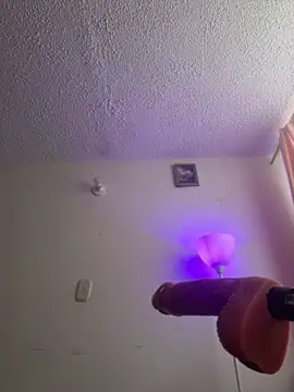 Snapshot of Liulee chatting on January 2026 07:12:01 PM Liulee online show from January 2026 07:12:01 PM