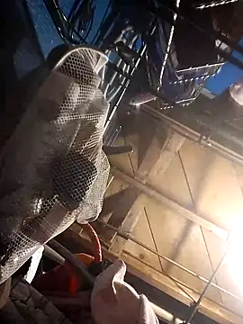 Whipit323 online show from December 2024 05:42:02 PM