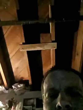 Whipit323 online show from February 2026 08:49:02 AM