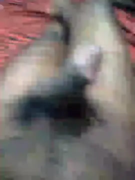 mallucallboy2104 online show from January 2025 08:04:01 PM