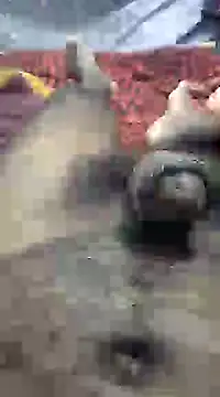 mallucallboy2104 online show from January 2025 09:32:02 PM