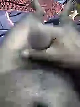 mallucallboy2104 online show from January 2025 11:39:02 PM