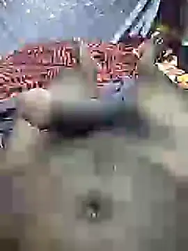 mallucallboy2104 online show from December 2024 04:27:02 AM