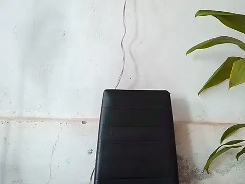 bellacrespalatina online show from April 2026 04:13:02 PM