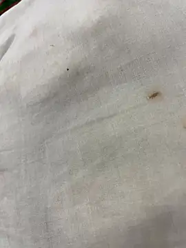 Snapshot of elSexi chatting on December 2025 01:17:01 AM elSexi online show from December 2025 01:17:01 AM