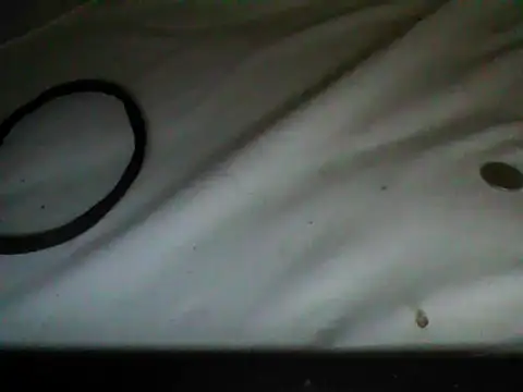 frank32love online show from November 2025 06:50:02 AM