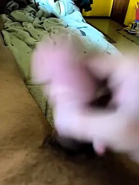 Pirico85 online show from September 2025 03:28:02 PM