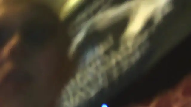 Snapshot of sexycockfiend777 chatting on November 2025 01:21:02 PM sexycockfiend777 online show from November 2025 01:21:02 PM