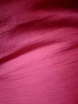 BERRY 00 online show from April 2026 10:38:02 AM