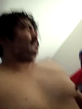 Brickstash online show from November 2025 12:53:01 PM