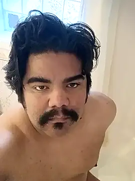 Brickstash online show from November 2025 04:18:02 PM