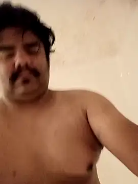 Brickstash online show from November 2025 01:04:01 PM