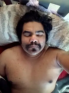 Brickstash online show from March 2026 03:02:01 PM